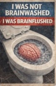 brainwash brainflushed