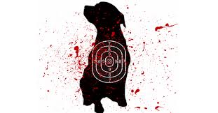 Victims of Police ‘Dog Shootings’ Tell Their Tales of Horror