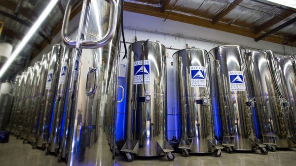 Was Pam's body preserved by cryonics and stored, awaiting the day when Keith will restore her life?