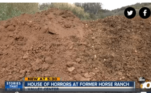 Piles of horse manure at HiCaliber