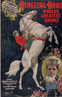 clown 5