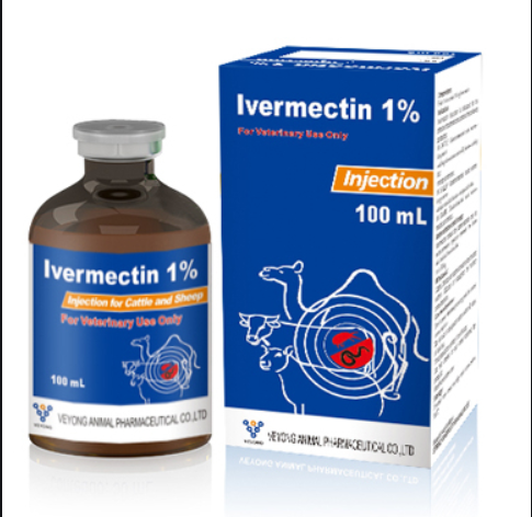 Can Ivermectin Be a Cure for Covid 19? Hope and Despair at Ground Zero