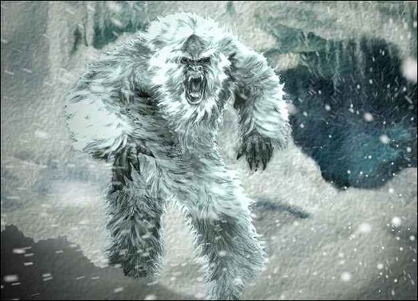 About the Yeti
