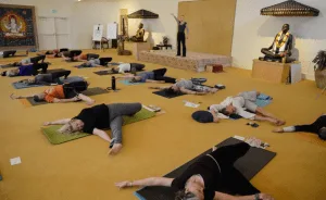 The Movement Center Yoga