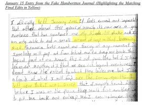 The journals she claimed to write in 2015 were written for Netflix for $25,000. Why didn't anyone check the ink for age? Why? Because she wrote the journal in pencil.